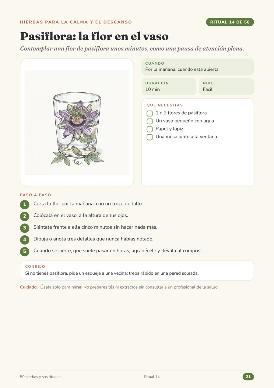 Página del ritual 14, Pasiflora: la flor en el vaso, de El Herbario Sagrado